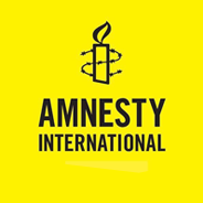Enrique Pérez Rosiles, traductor, Amnesty International
